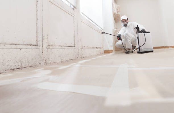 24/7 Emergency Black Mold Remediation experts in Fredericksburg, PA