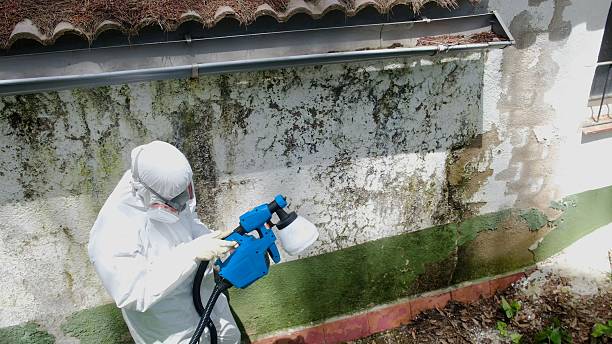 Top rated local Black Mold Remediation specialists in Fredericksburg, PA